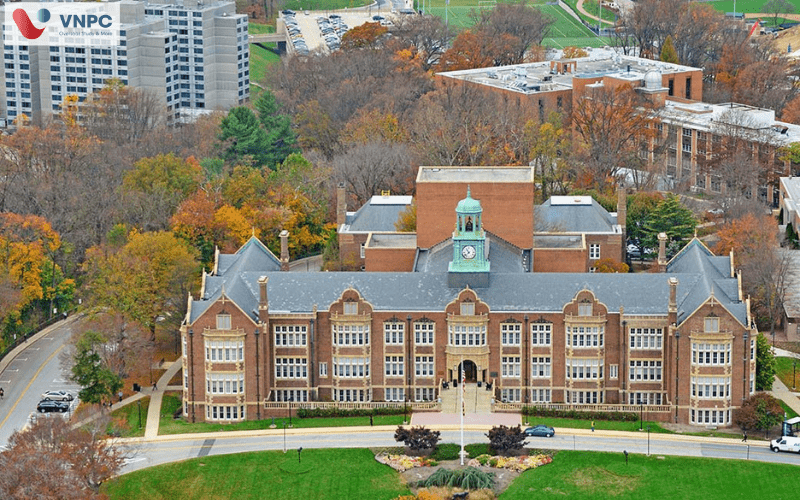 Towson University: Chương trình học, điều kiện, chi phí & King88 ưu đãi hấp dẫn mỗi ngày